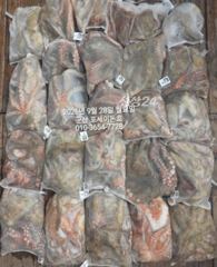 [군산] 9월28일-문어 무게가 점점더 묵직해져갑니다
