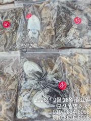 28일 쭈꾸미 오후반