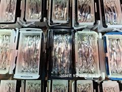 [진해] 내만갈치 점점 굵어진씨알 찐손맛 오늘출항.화, 수, 목, 금,토…