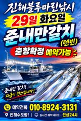 준내만갈치)텐빈~씨알급 시즌이 왔습니다(내일 예약가능합니다)