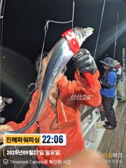 [갈치/텐빈/텐야]28일입항~씨알좋은놈부터~잔씨알까지[화요일]예약가능