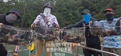 [통영] (문어) 美쳤네~개인 22수 20수 K키로급까지~퍼담아요~락피싱…