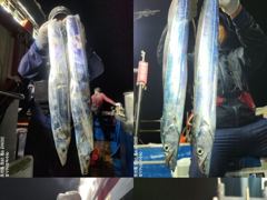 <여수뉴피닉스호> 씨알좋은 갈치출조ㅡ 이번 금요일(2일) 자리많습니다. 황제낚시가능