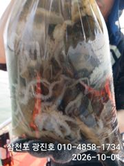 2시간전 [남해] 10월 1일 남해 갈화 강바다호 문어 선상조황
