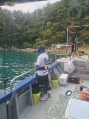 사량도 돌문어 잡어러 고고고