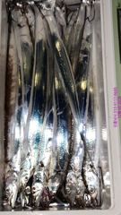 [고성] 말이필요없는 밤칼치 퍼담고 만쿨로 ^