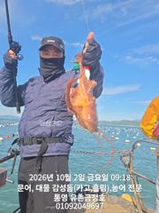 통영 금정호 오전문어 똥바람에도 신나게 시작합니다 오늘오후와 주…