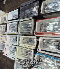 [진해] 2일,내만갈치,담뱃갑 씨알에,엄청나게 나옵니다,오늘7자리(금,일…