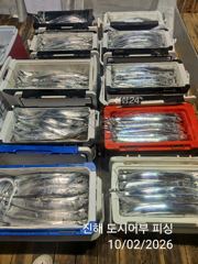 [진해] 2일새벽 내만 용가리 계속 이어 갑니다~!! 예약가능