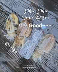 10월 2일 독배출조~