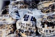 10월 2일 팀배틀호 쭈갑 조황!