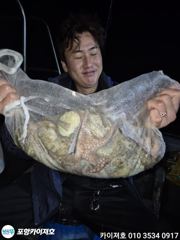 [포항] 2일 야간 돌문어 조황 입니다