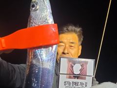내만 갈치 새벽 타임 피딩 만나 올리고 올리고~~(일욜2자리,월욜부터 예약 가능)