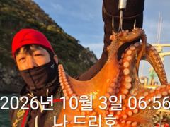 3일, 군산은 지금 ~싸이즈 좋은 덩치급 문어가~ 잘나오고 있어요~실시간~군산낚시프라자 나드리호