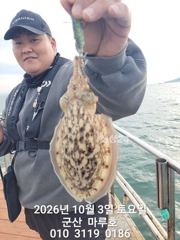 ★★ 10/3 {군산 대일피싱} 마루호 실시간 갑오징어 조황~!