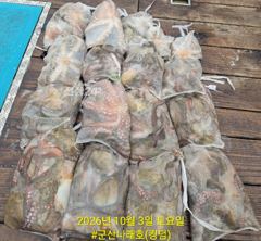 ★★ 10/3 {군산 대일피싱} 나래(킹덤)호 문어 조황입니다