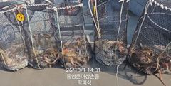 [통영] (문어)피딩~망탱이 가득 원도권 집중공략 락피싱(4일 예약)