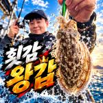 [배쯔호] 10월3일 갑오징어 낚시