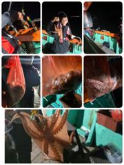 2시간전 [군산] 10/3. 군산. 대한낚시. 가을. 갑오징어. 조황
