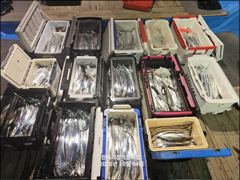 10.03 [거제] 지깅 한판!!!