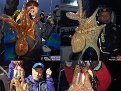 3일 계속해서 올라와 잡고온 굵고 묵직한 야간~돌문어 마리수 잡으러 출조 갑니다 @ 오늘 1 자리,월,화요일~몇 자리 예약가능
