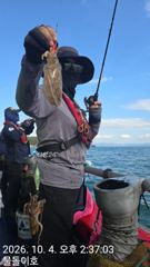 10월4일, 오천항 물돌이호 쭈꾸미 조황
