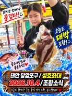 10.4 성호좌대 조황소식