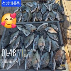 57분전 [해남,진도] 진도제이제이 10월4일 한 방 날리고 6일 출조 4자리여유