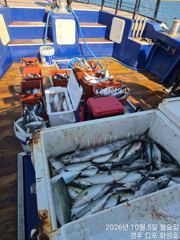 월욜 오전 500수 넘기고 1시간 빨리 조기 철수 하였습니다.