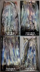 진해더블피싱 04일욜 하루가 다르게 3지4지 마리수 사이즈 좋아졌어요