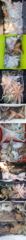 10/5 돌문어 키로급외 중치 개인 두자리수 왕 갑돌이.. ( 내일 예약가능 )