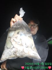 4일 ❤️주홍호❤️ 야간문어철수조황 오시면됩니다