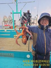 [진해] 문어 야간 문어 조황 돌박에 쨋다하면 600이상 만 18수 1…