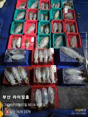 10월6일