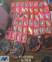 (원도권)무늬 구덩이 씨알 끝장 110수 퍼 담고~뉴그린호(오늘 예약)