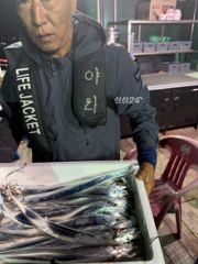 [목포] #목포야타피싱 #10월6일 #야간갈치낚시 #조황!