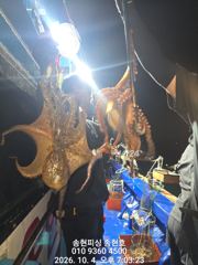 통영 송현호))먀간 문어 마리수 굿! 굿!~오늘도 출동!