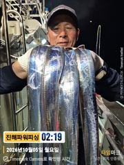 준내만[갈치/텐빈/텐야]쿨러조황~대갈치 찾아~토.일.월 예약가능