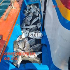 호미르호. 찌낚
