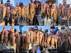 [고흥피쉬헌터호] 붉바리60.5cm 선두로 줄줄이!!!
