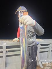 1시간전까지 히어로 실시간!