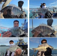 [통영] 4짜 4짜급외 미친 마릿수 손맛!!! 금/토/일 예약중!!!