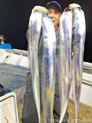 [여수,광양] 10월8일입항 대갈치 조황소식입니다