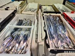 ((먼바다 왕갈치))오늘도 역시 굵은놈들부터 팍팍잡아보자 오늘오후3시 (예약가능