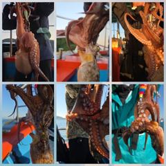 2시간전 [사천] (주꾸미)첫 입문에 80여수~삼천포 마릿수 터져요 로마피싱(10일예약)