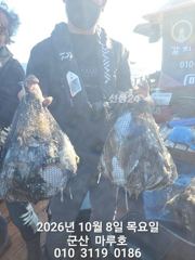 ★★ 10 / 8 [군산 대일피싱] 마루호 갑오징어 대박조황~! 다음주 월요일 자리 있습니다.