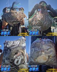 <고흥녹동> 청룡호 8일 14분 돌문어 조황소식!!