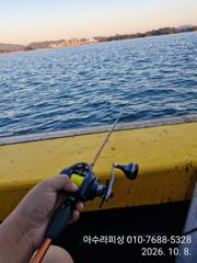 삼천포 아수라피싱 주꾸미 조황