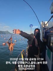 [통영] 통영 금정호 문어선상 초보들도 신나게 잡았습니다 내일 자리여유있…