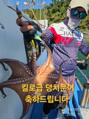 삼천포 마린보이 10. 9. 금요일 주간문어 풍성하게 뜯고 왔습니다.
